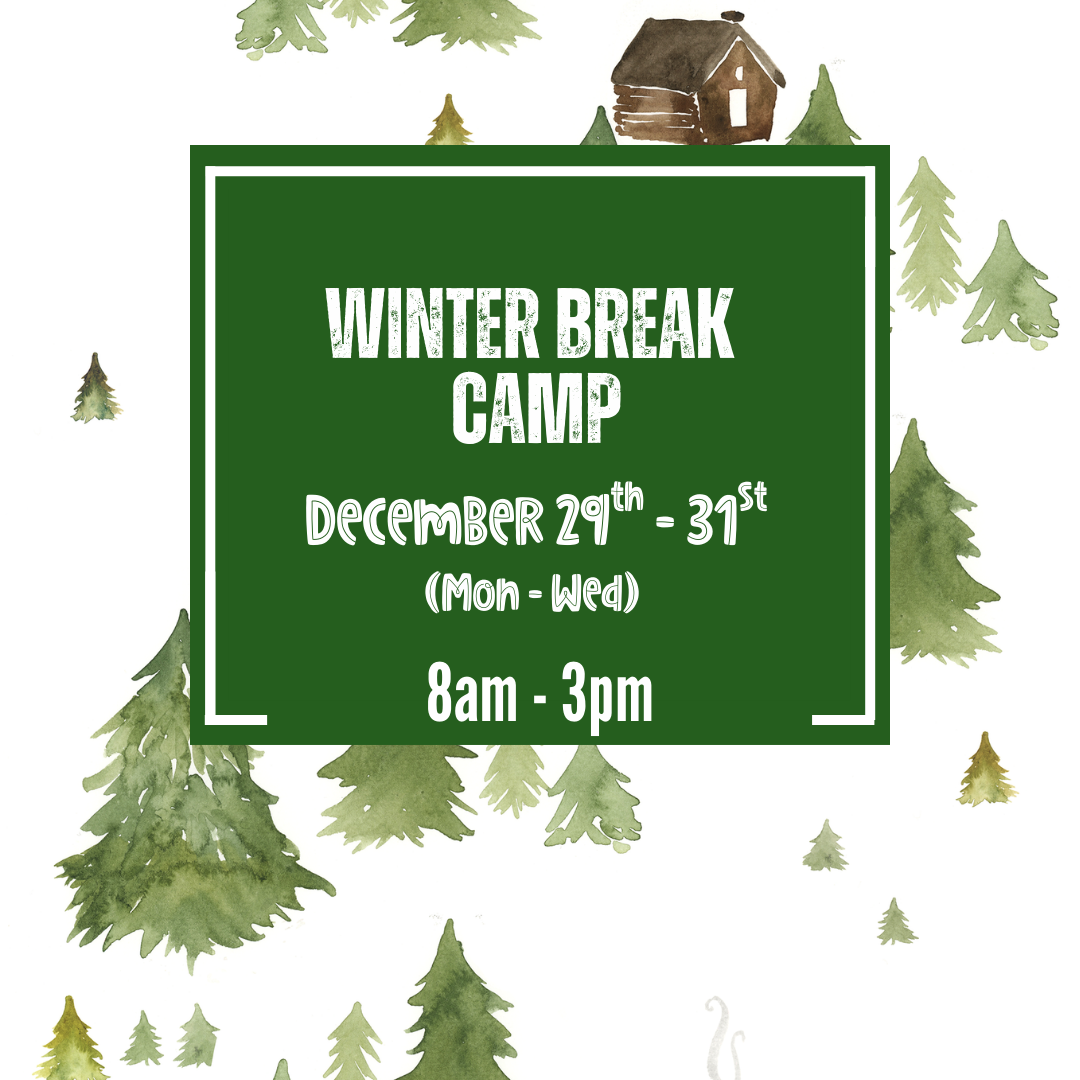 Winter Break Camp