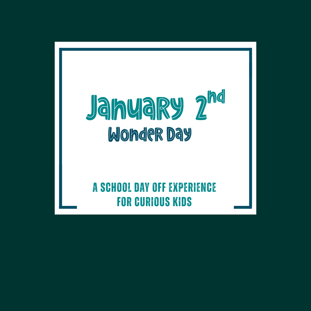 Wonder Day: January 2nd