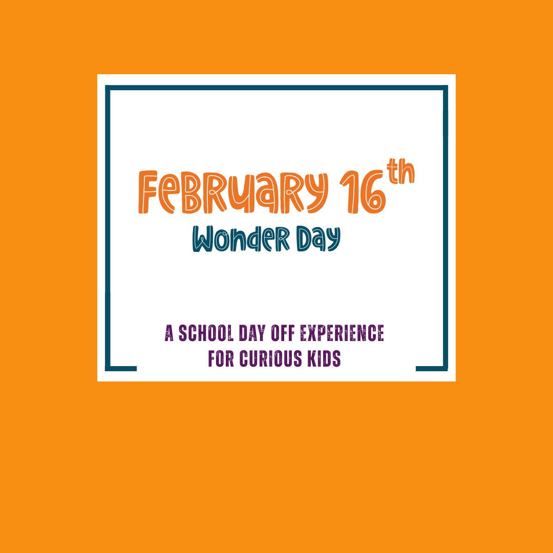 Wonder Day: Feb 16th