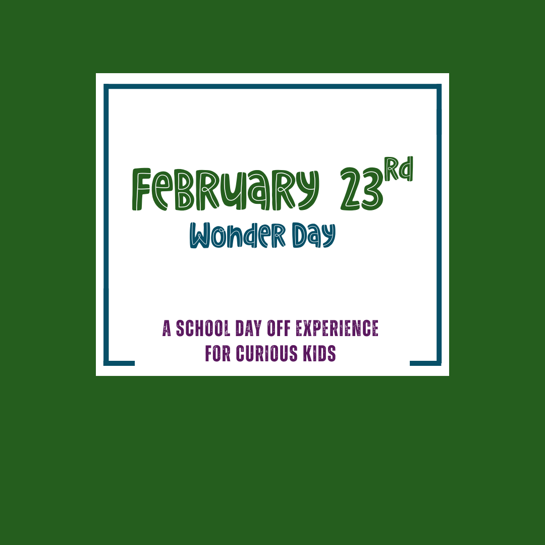 Wonder Day: Feb 23rd