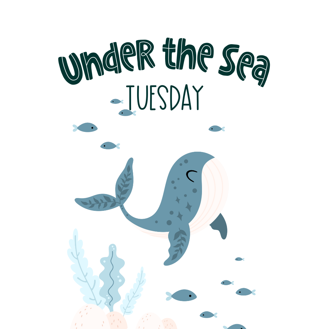 Under the Sea Day (Tuesday)