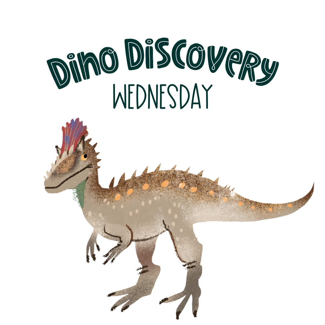 Dino Discovery Day (Wednesday)