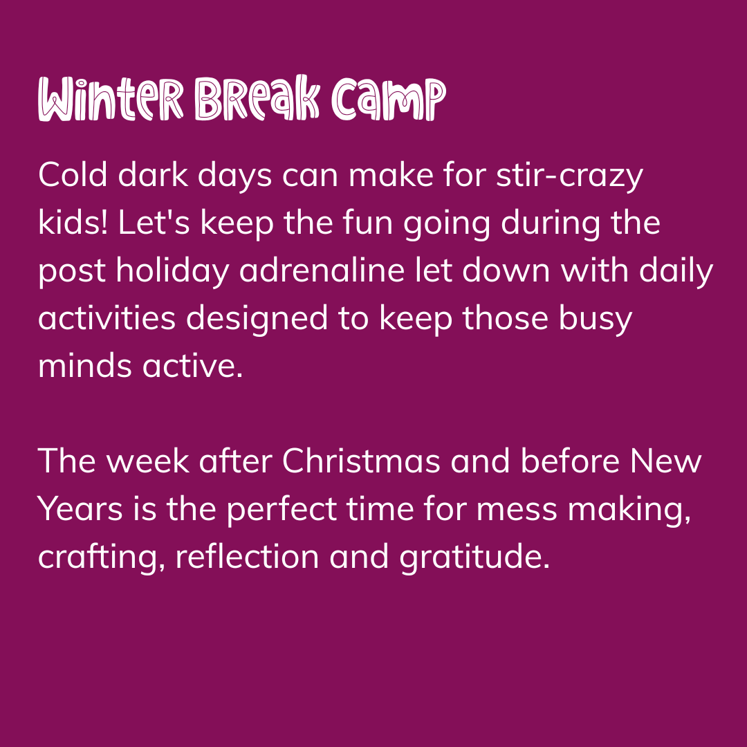 Winter Break Camp