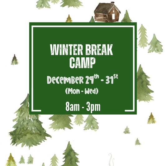Winter Break Camp