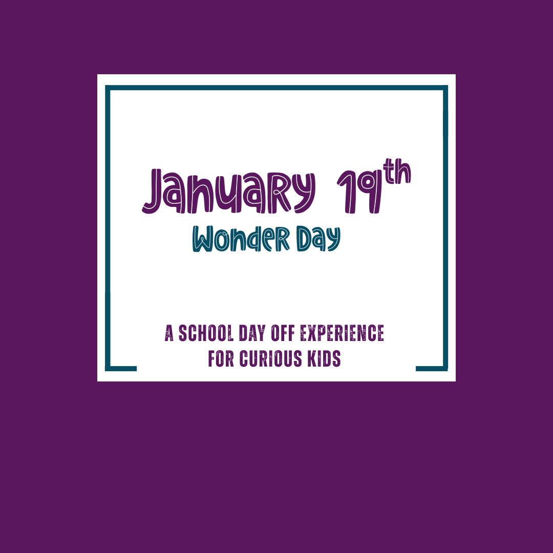 Wonder Day: January 19th
