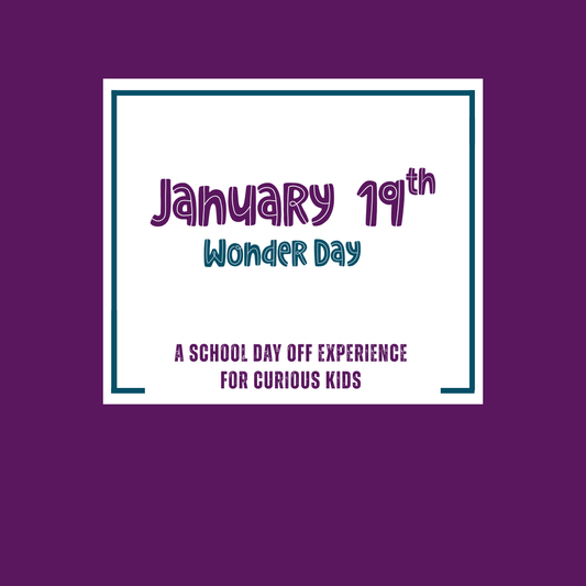 Wonder Day: January 19th