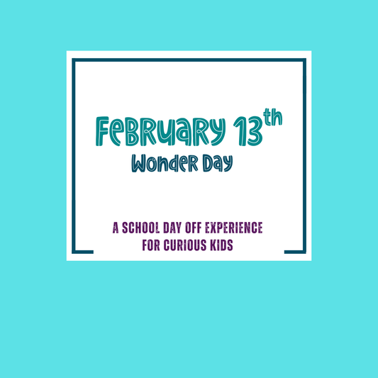 Wonder Day: Feb 13th