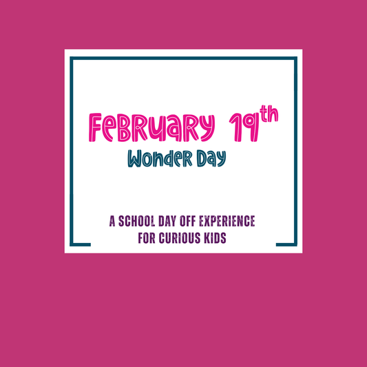Wonder Day: Feb 19th