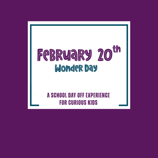 Wonder Day: Feb 20th