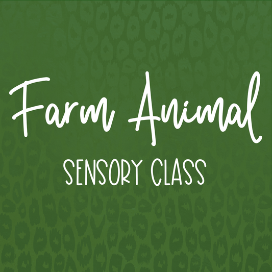 Farm Animal Sensory Class