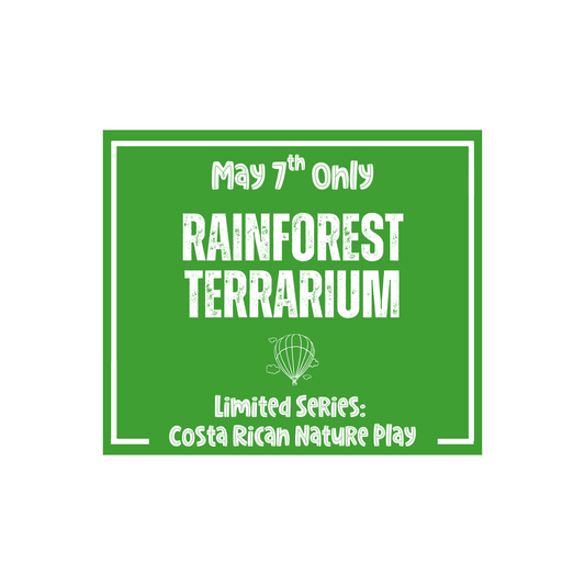 Costa Rica Nature Play: Rainforest Terrarium
