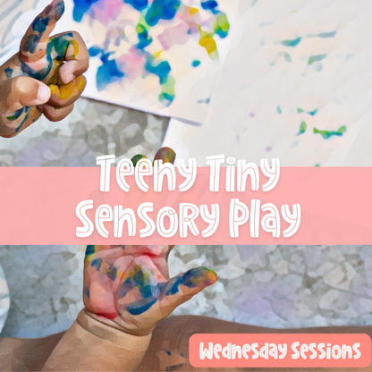 Teeny Tiny Sensory Experience (Wednesday)