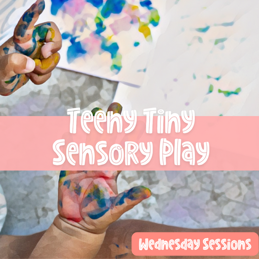 Teeny Tiny Sensory Experience (Wednesday)