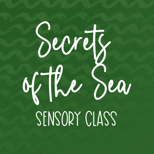 Secrets of the Sea Sensory Class