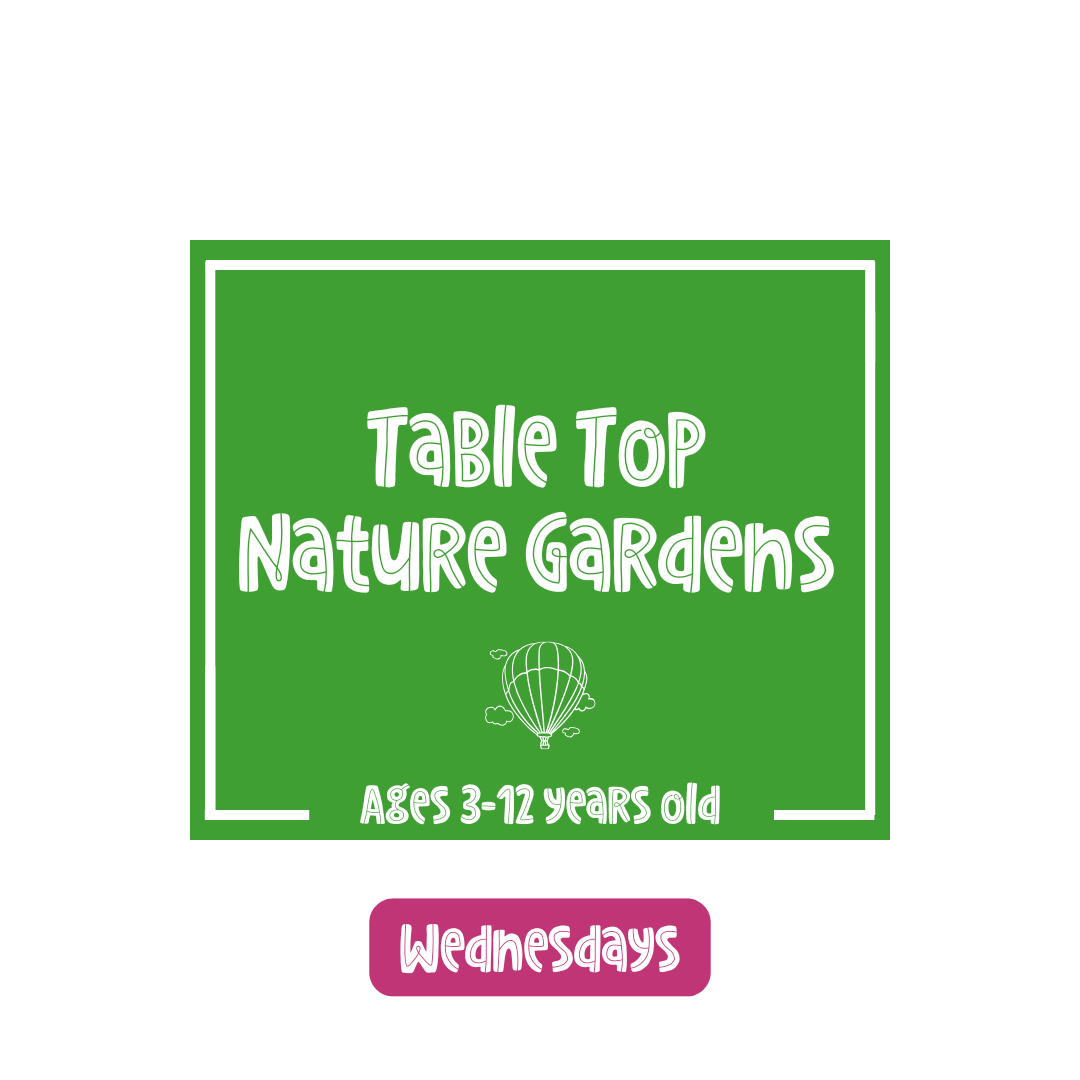 Table Top Nature Gardens (Wednesday)
