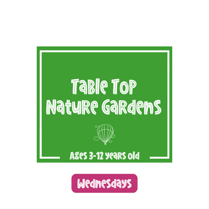 Table Top Nature Gardens (Wednesday)